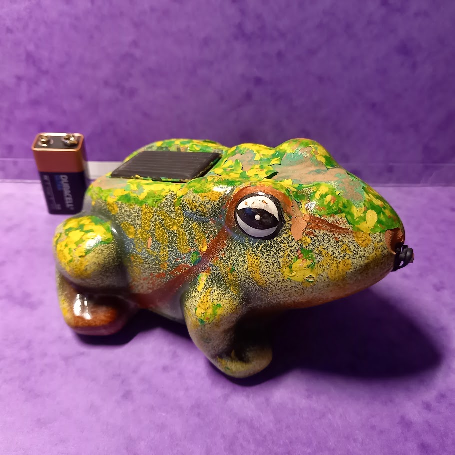 Grenouille de jardin